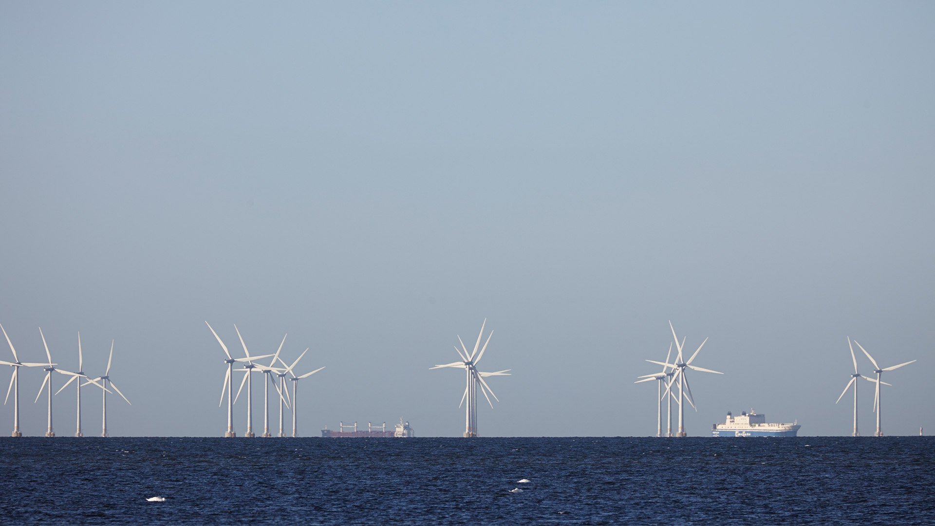 Havsvindkraftsparken Lillgrund i Öresund. 