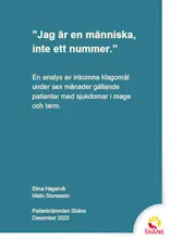Publikationens omslag.