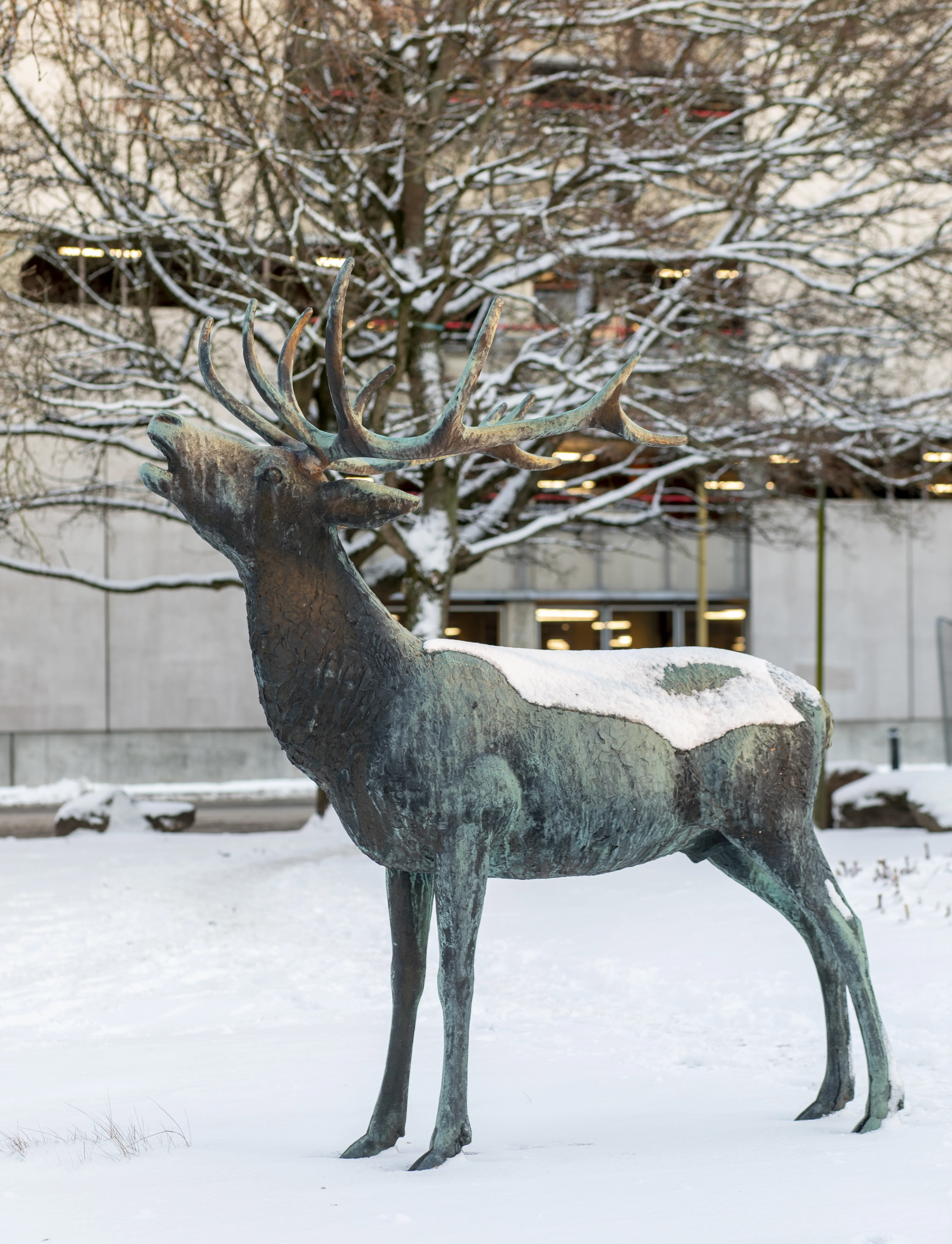 En hjort sträcker upp halsen och brölar, ett täcke av snö vilar på skulpturen i brons.