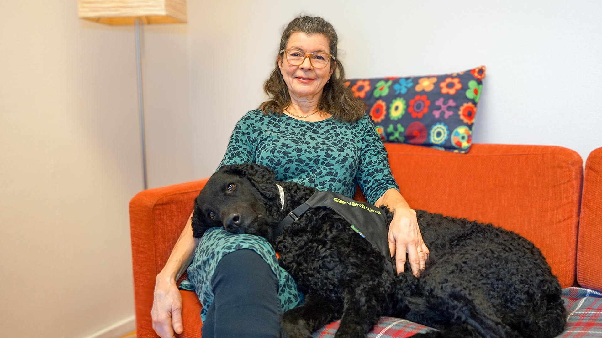 Vårdhunden Stina ligger mycket avslappnat i knät på sin matte som sitter i en orange soffa.