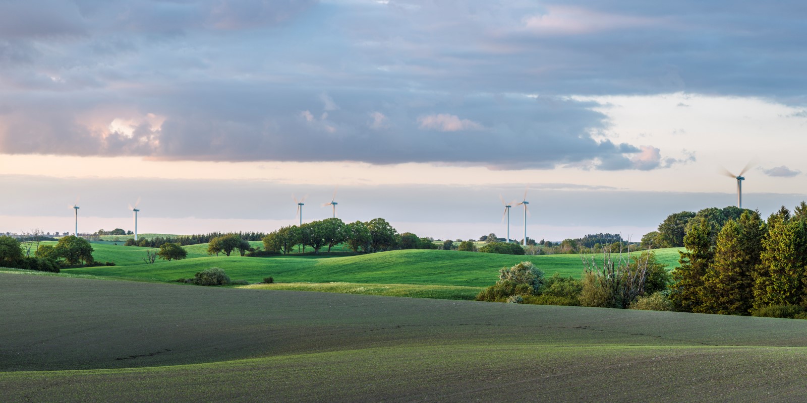 Ett grönt böljande landskap med vindkraftverk vid horisonten. 