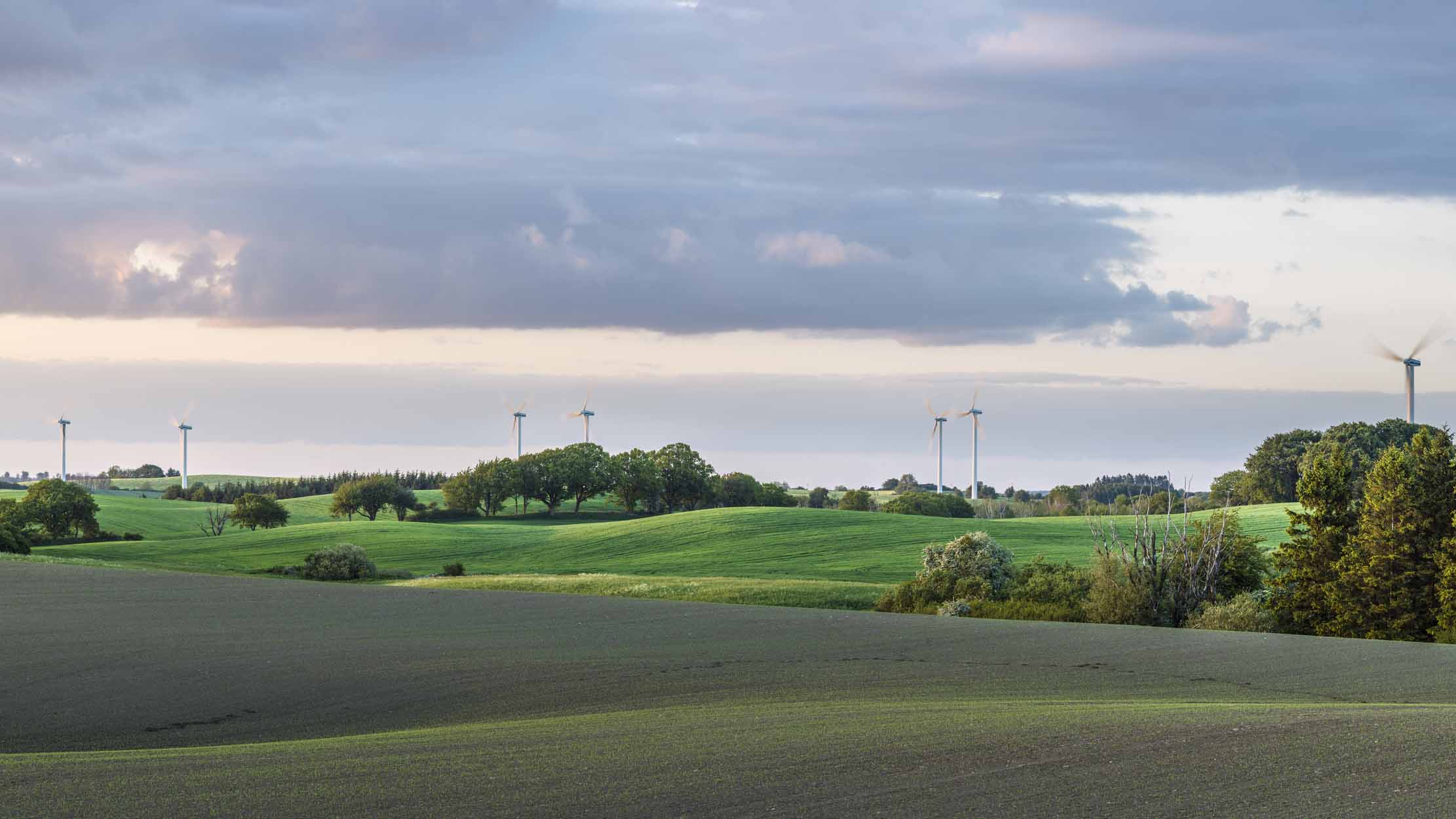 landskap med flera vindkraftverk