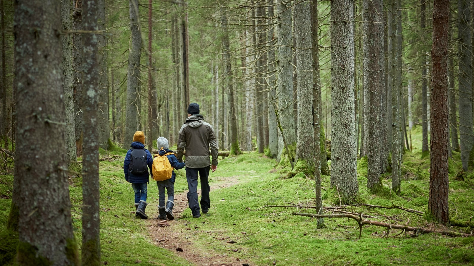 En man går i en skog tillsammans med två barn , de går in i skogen bortvändra från  kameran. alla tre är fritidsklädda. 