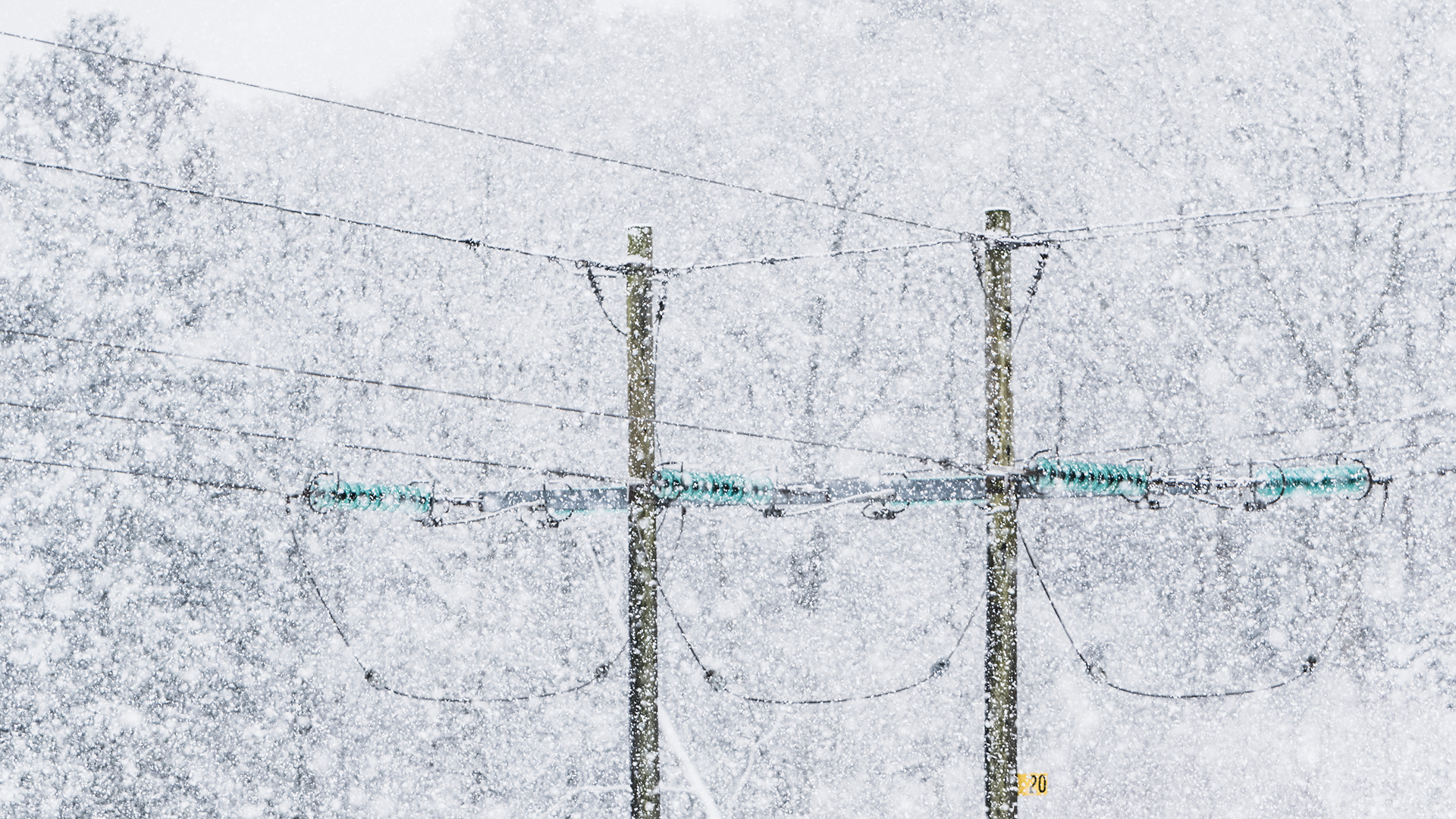 Elledningar i snöstorm