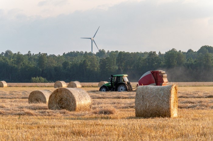 Traktor på fält bland höbalar.