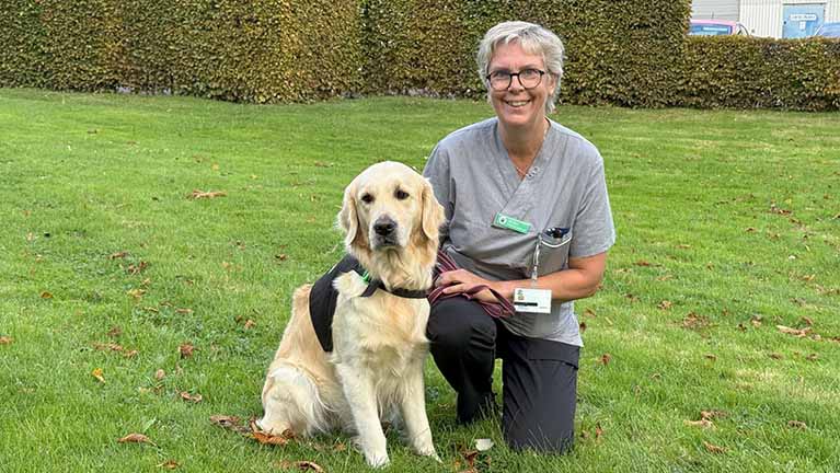en kvinna i vårdkläder och hennes golden retriever på en gräsmatta