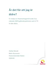 Publikationens omslag.