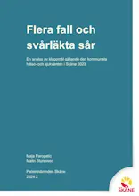 Rapportens omslag.