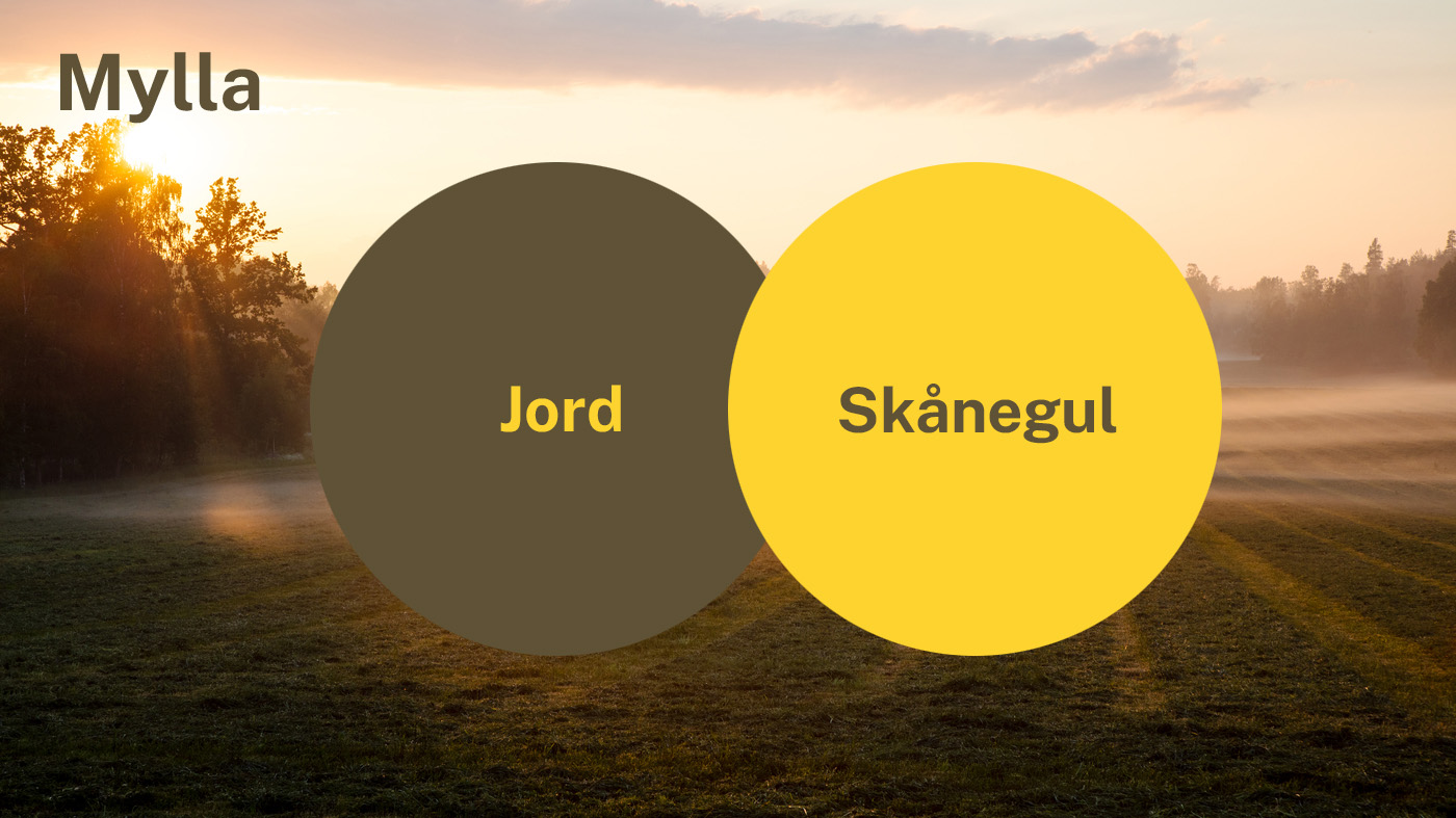 Färgerna Jord och Skånegul i två cirklar. I bakgrunden syns ett fält i soluppgången.